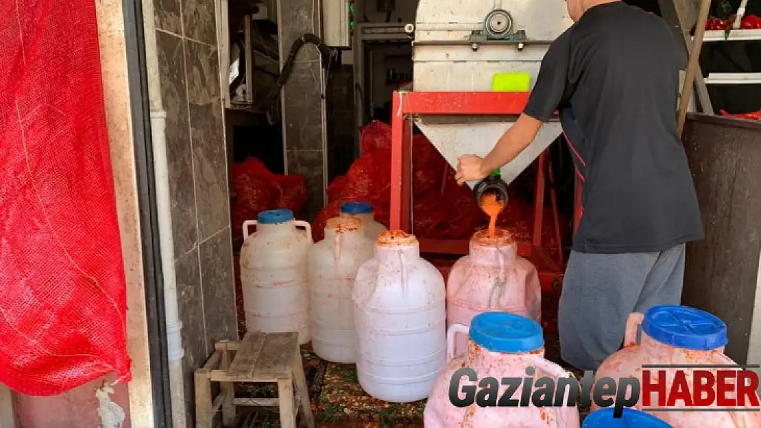 İşletmelerin salça mesaisi başladı