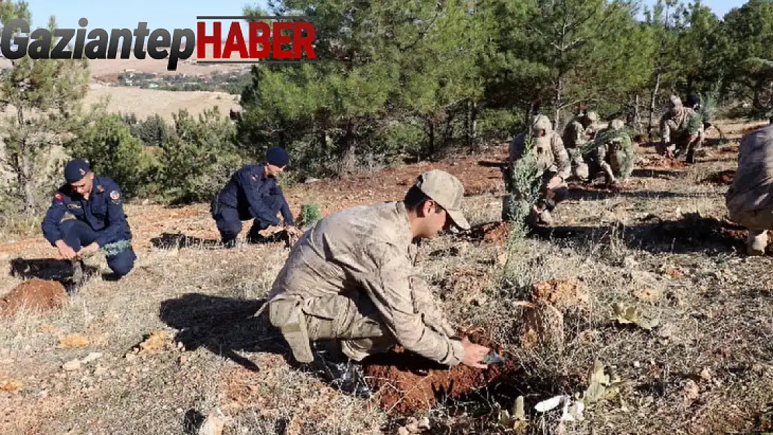 Jandarma 100. yıla özel 100 fidan dikti