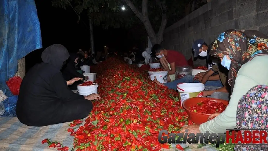 Gaziantep'te acı bir telaş