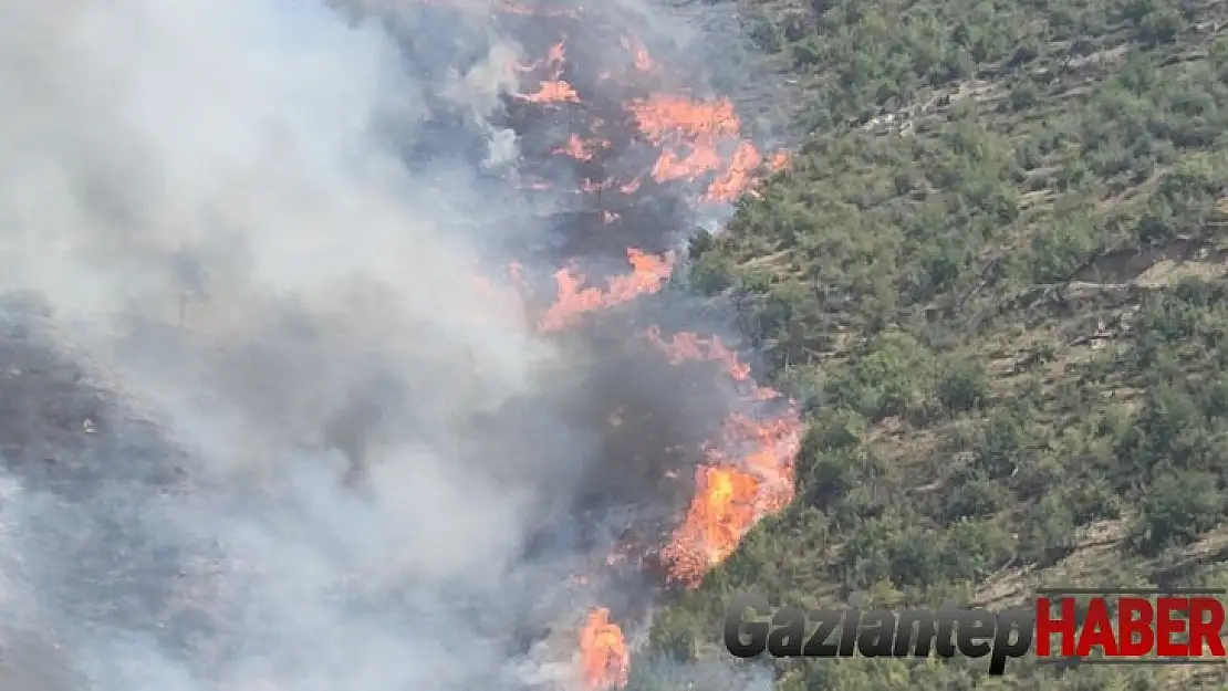 Karabük'te aynı alanda 2 orman yangını çıktı