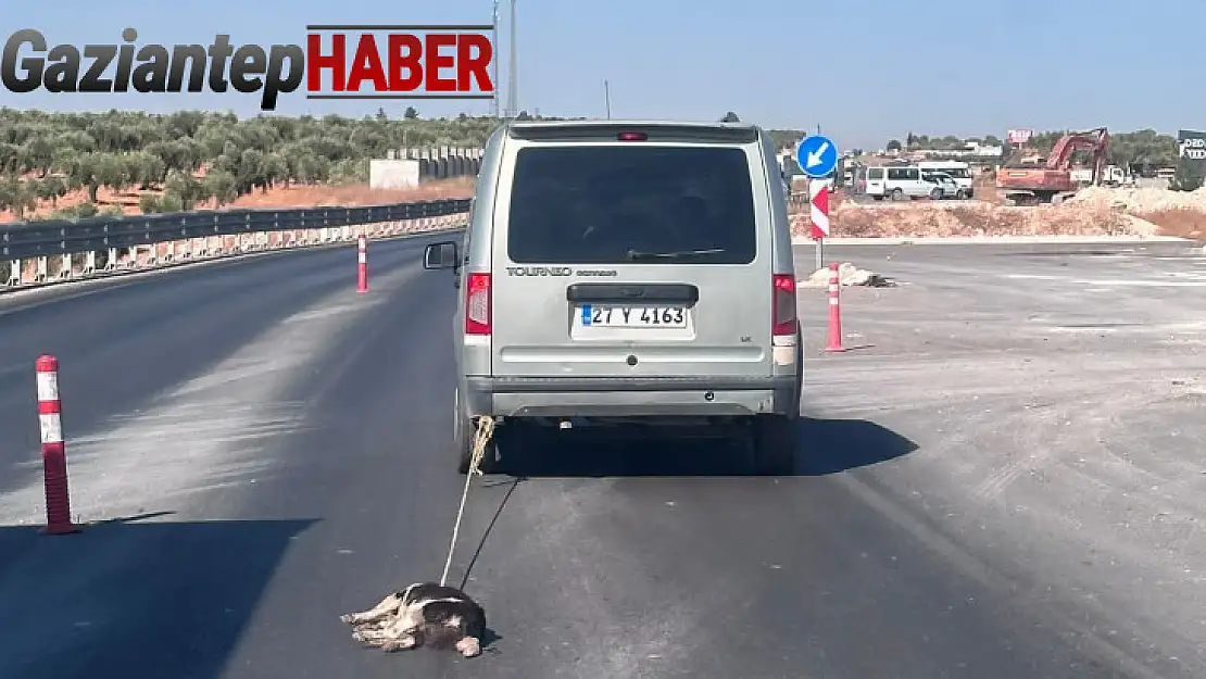 Köpeği aracına bağlayıp sürükledi