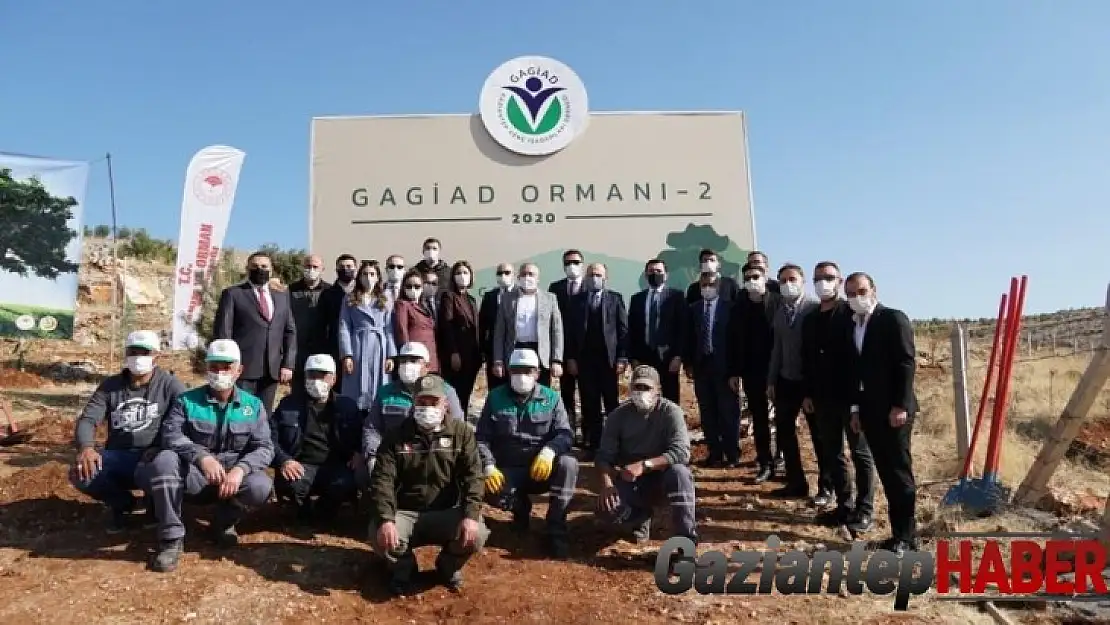 Korona kahramanları için fidan dikildi
