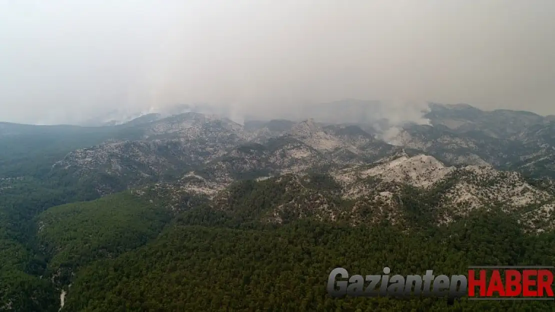 Menteşe'de yangın söndürme çalışmaları devam ediyor