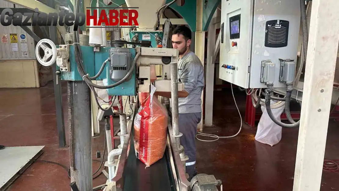 Mercimek Güneydoğu'nun ekonomisine katkı sunuyor
