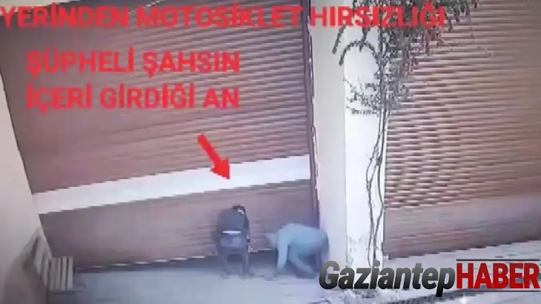 Motosiklet hırsızları yakalandı