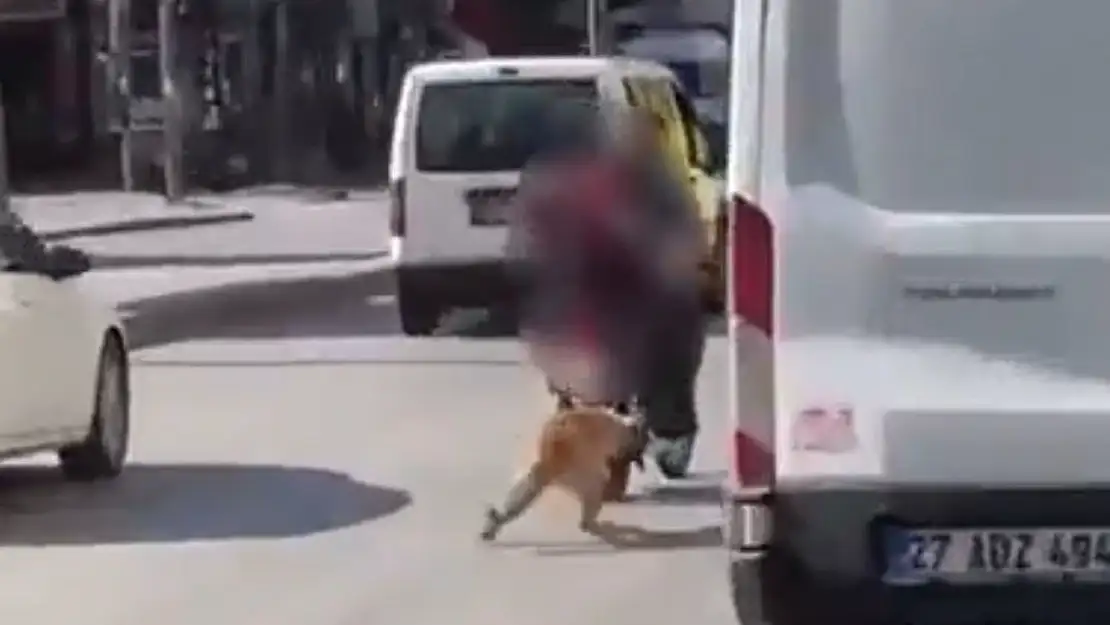 Motosikletin arkasına bağladıkları köpeği sürükleyerek götürdüler