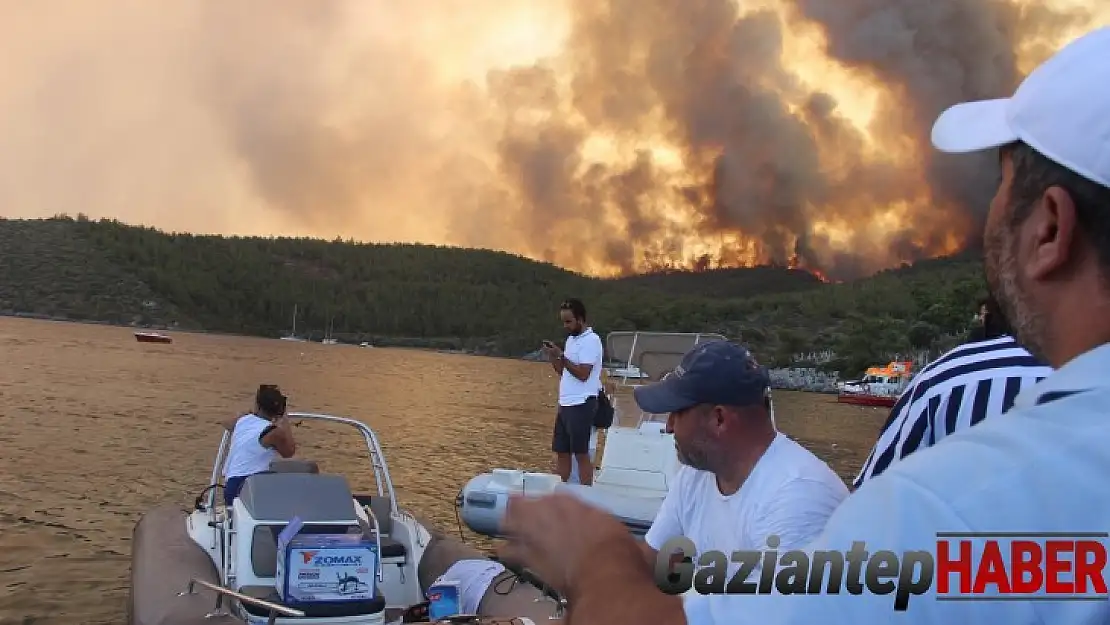 Muğla orman yangınlarında son durum