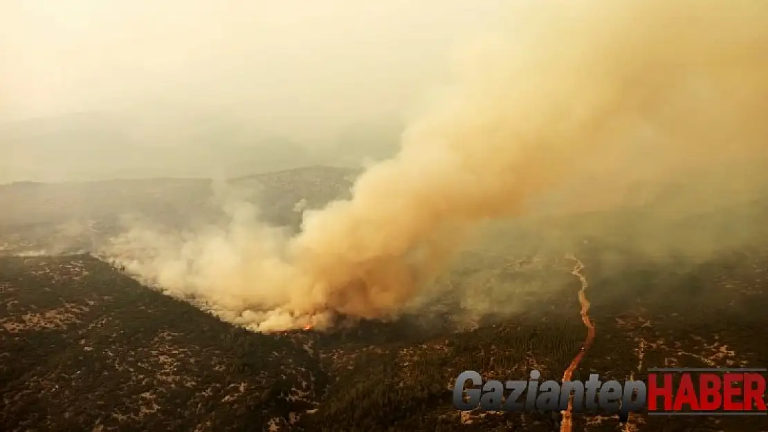 Muğla yangınlarında 9'uncu günde son durum