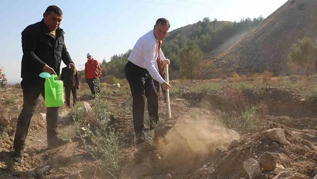 Nizip Belediyesi, bin adet zeytin fidesi dikti