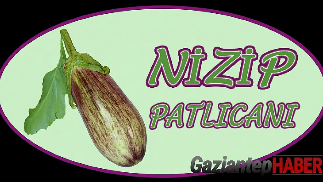 Nizip Patlıcanı'nı Tescilledi