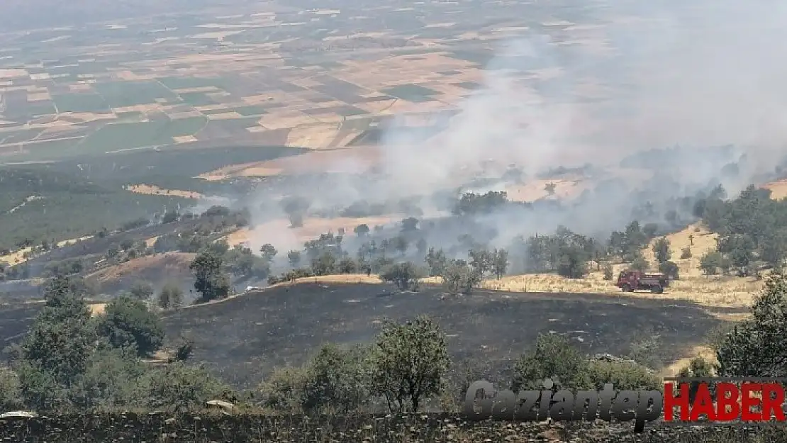Nurdağı'nda orman alanda yangın
