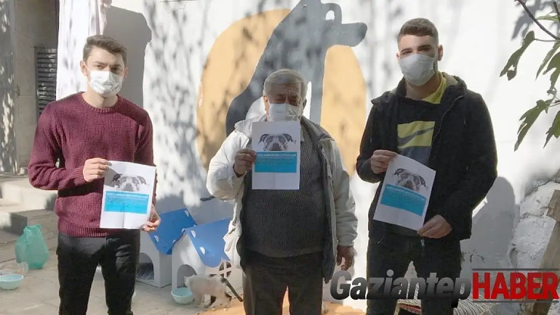 Öğrenciler Sokak Hayvanlarına Umut Oldu