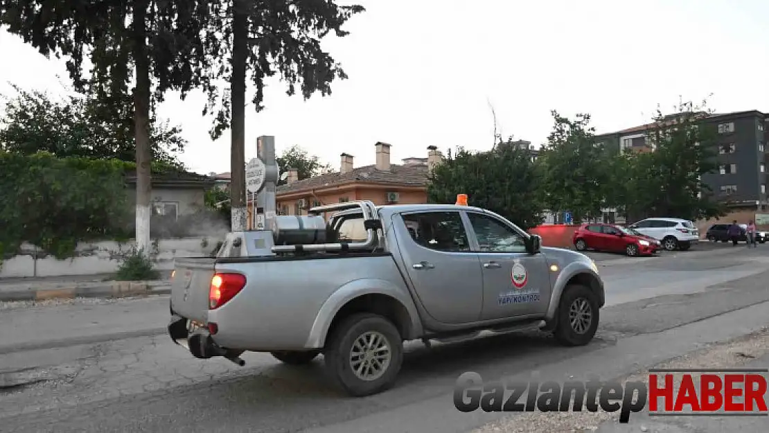 Oğuzeli'nde haşerelere karşı ilaçlamalar yoğunlaştırıldı