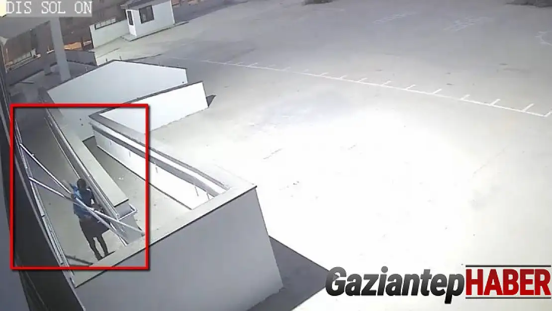 Okul faresi tutuklandı