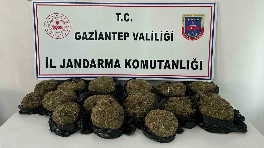 Otobüsün bağajından 18.5 kilo skunk ele geçirildi