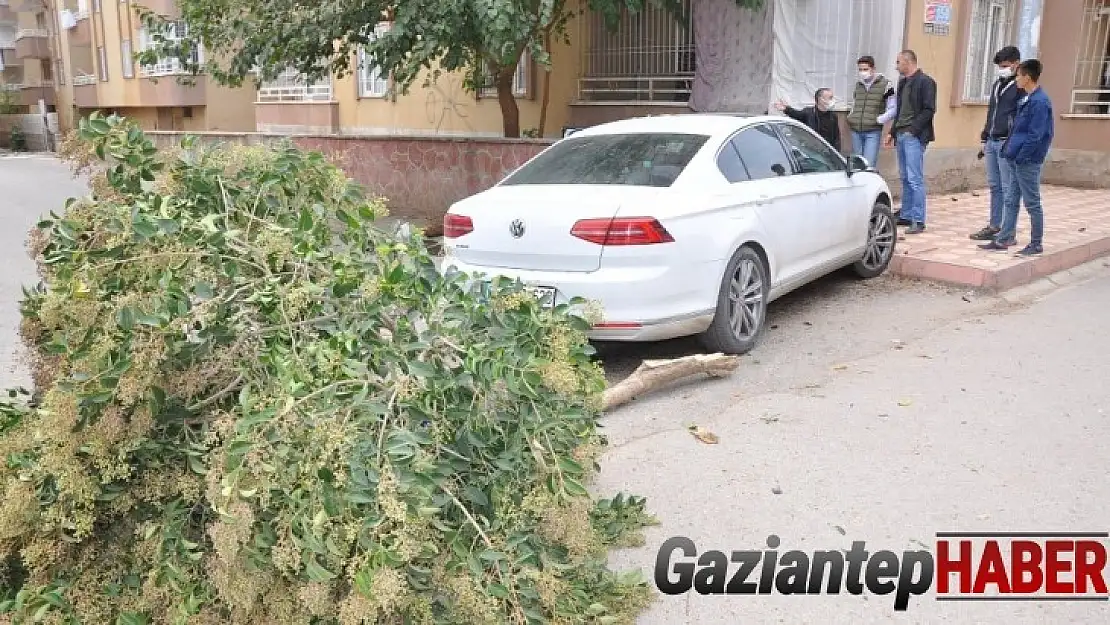 Otomobilin altında kalmaktan son anda kurtuldular