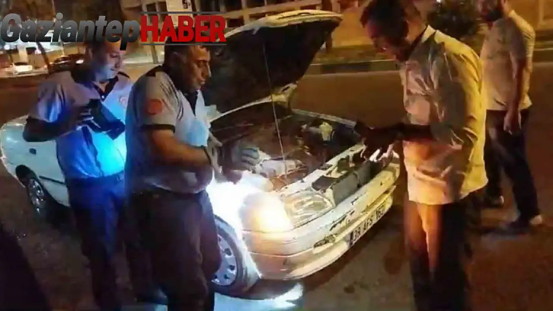 Otomobilin motoruna giren kediyi itfaiye çıkardı