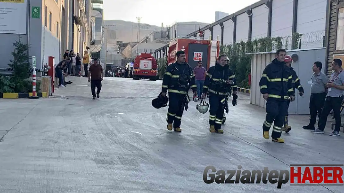 Pamuk fabrikasında yangın: 1 itfaiye eri öldü, 9 kişi yaralandı