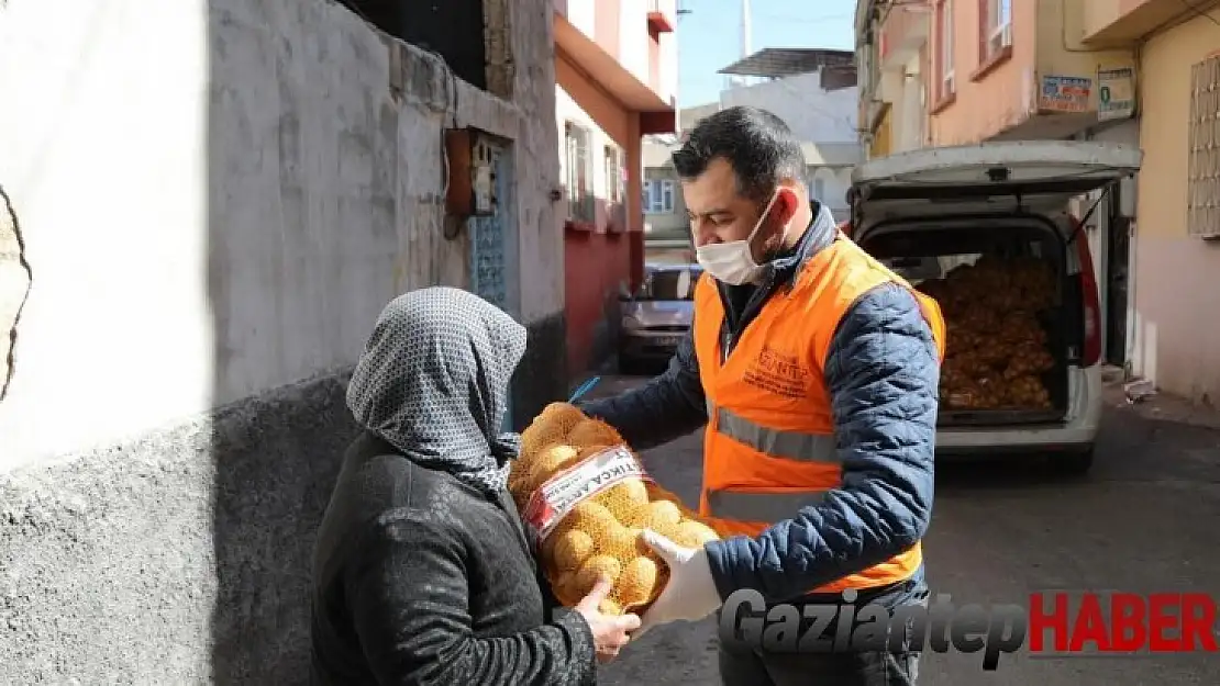 Pandemi mağduru vatandaşlara 750 ton patates desteği