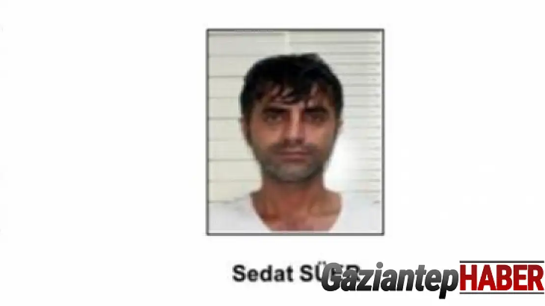 PKK'dan ayrılmak isteyen örgüt mensupları infaz ediliyor
