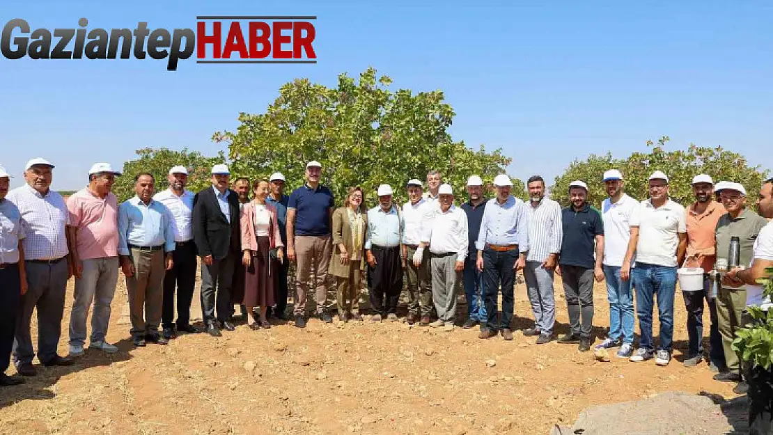 Şahin Barak Ovası'nda hasada katıldı