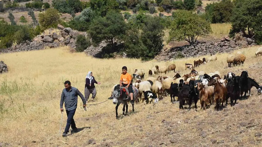 Şahinbey Belediyesi'nin destekleri ile hayvan yetiştiriciliği arttı