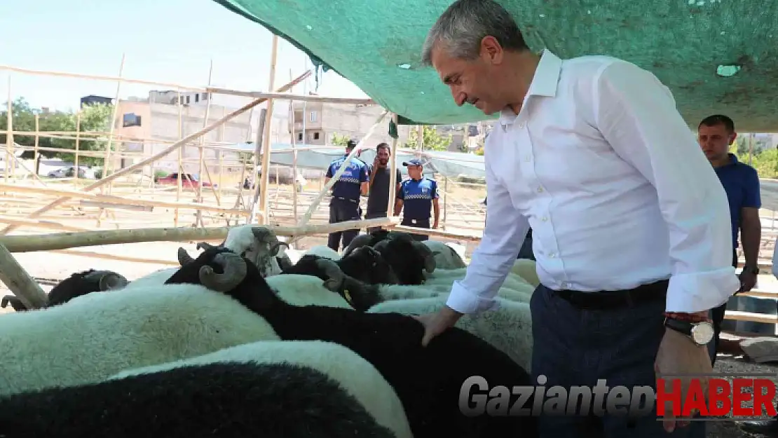 Şahinbey'de kurban satış ve kesim yerleri belirlendi