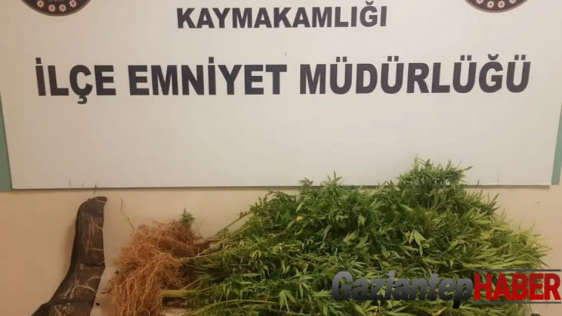 Saksıda uyuşturucuya polis darbesi