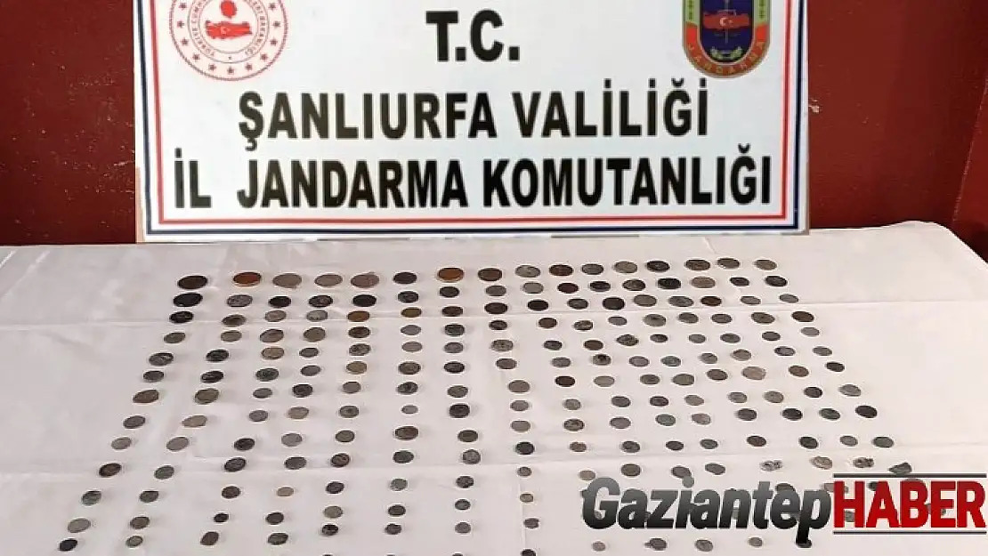 Şanlıurfa'da 210 sikke ele geçirildi