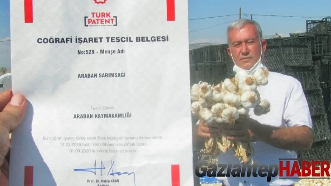 Gaziantep Araban sarımsağı tescillendi