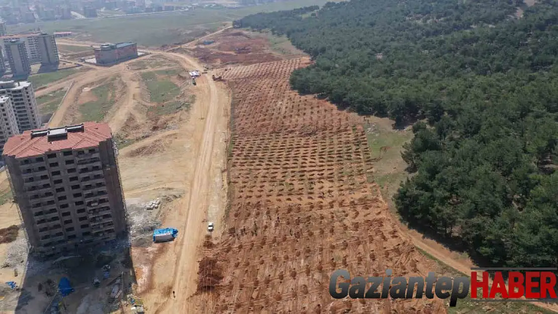 Şehitkamil'de 26. orman için hazırlıklar tamamlandı