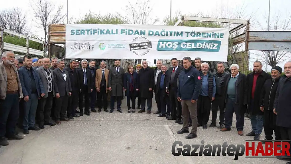 Şehitkamil, Yavuzeli ve Araban çiftçisine 50 bin fidan dağıtıldı