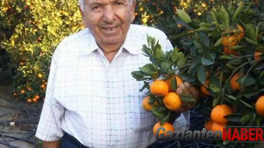 Şiddet uygulayan kocasını bastonla öldürdü