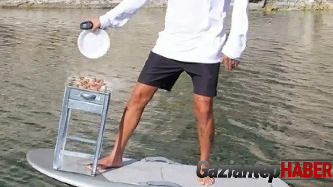 Sörfte mangal