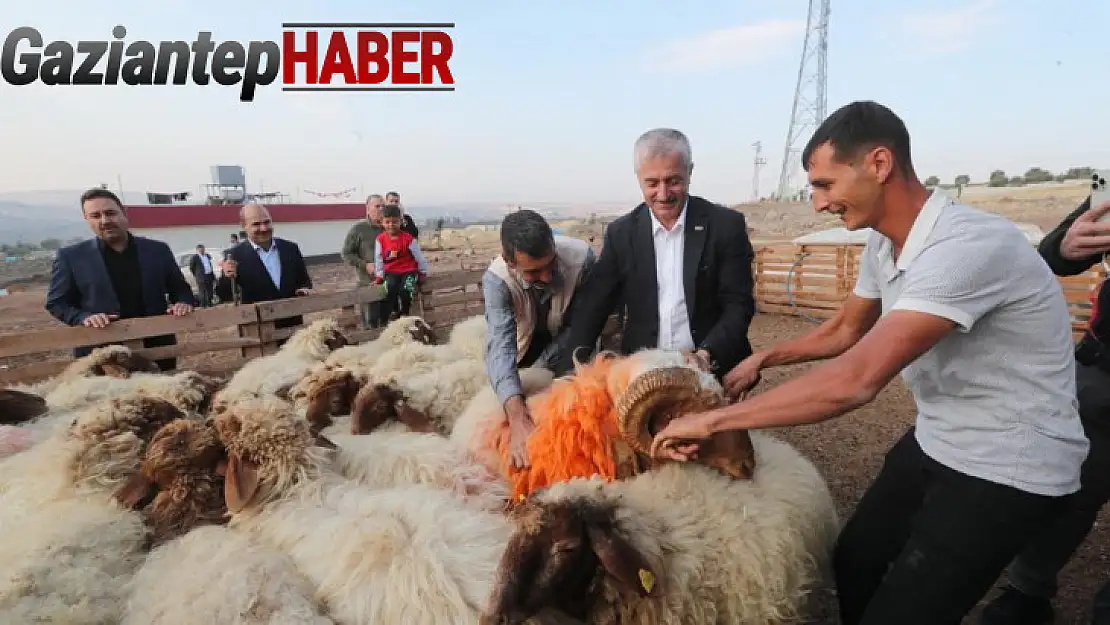 Tahmazoğlu 'Hayvancılığa desteğimiz sürecek'