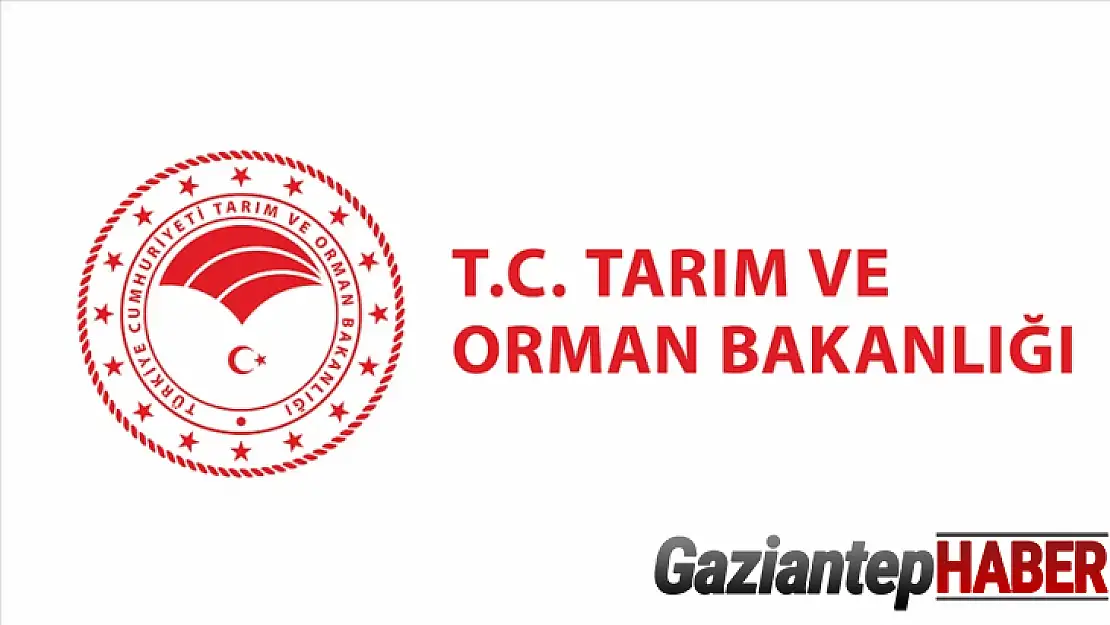 Tarım ve Orman Bakanlığı: 'Patates karantina etmenleri sebebiyle 26 ilde karantina tedbirleri uygulanmaktadır