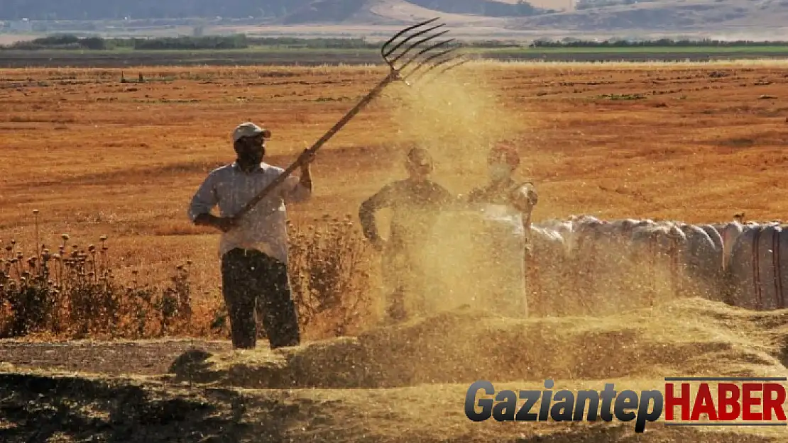 Tarımsal girdi fiyat endeksi bir yılda yüzde 112,41 arttı