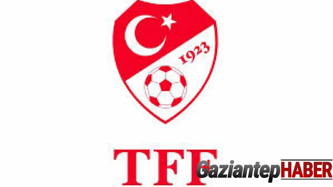 TFF: 'TFF'nin Galatasaray'a ceza vermesi mümkün değildir'