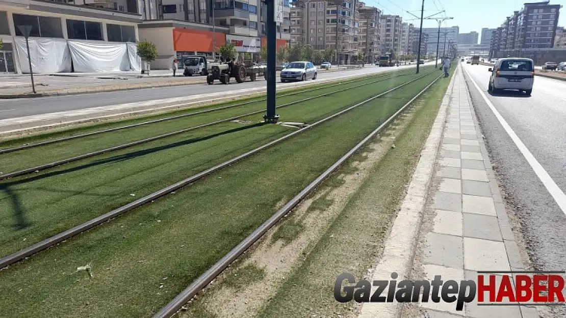 Tramvay genç kıza çarptı: 1 yaralı