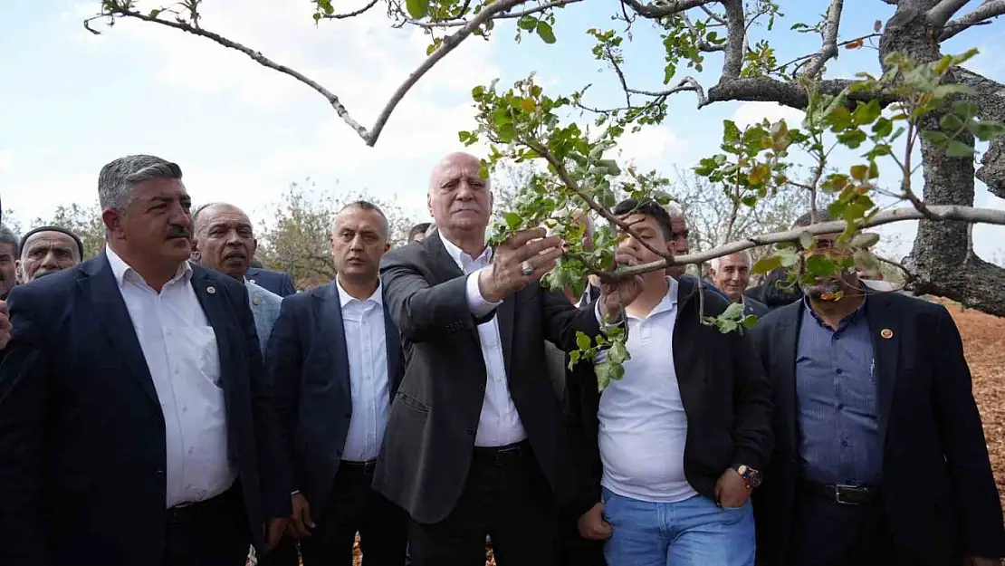 TZOB Genel Başkanı Bayraktar, Gaziantep'te dondan etkilenen bahçeleri inceledi