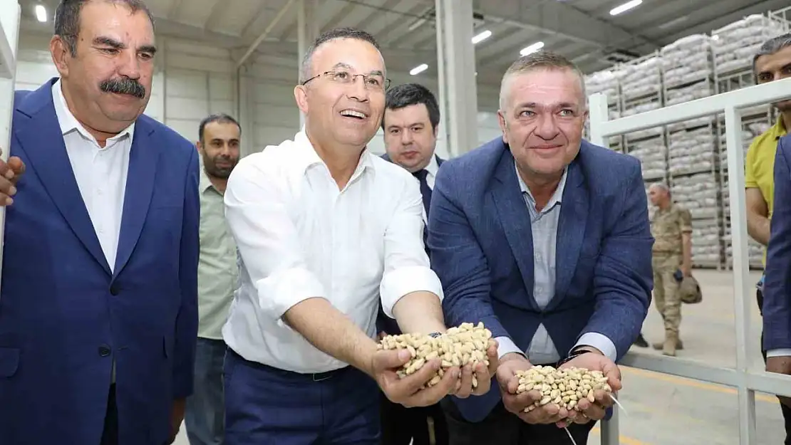 Vali Çeber, Antep fıstığı lisanslı depoda incelemelerde bulundu