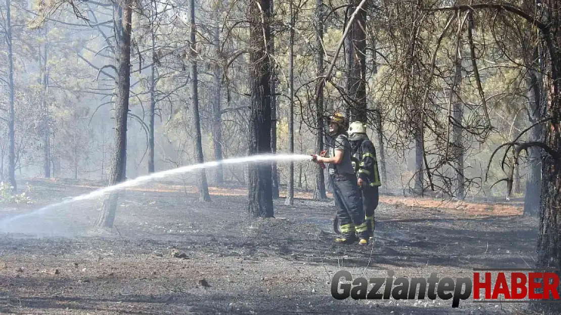 Yangına ilk 7 dakikada yapılan müdahale faciayı önledi