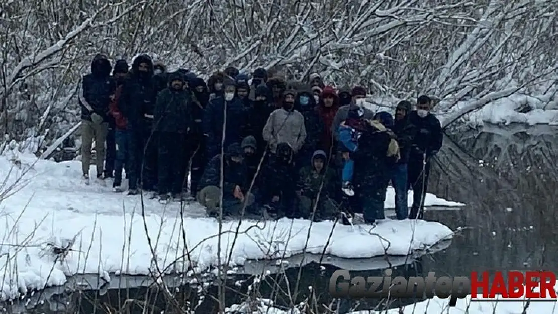 Yunanistan'ın zulmettiği göçmenler donmaktan kurtarıldı