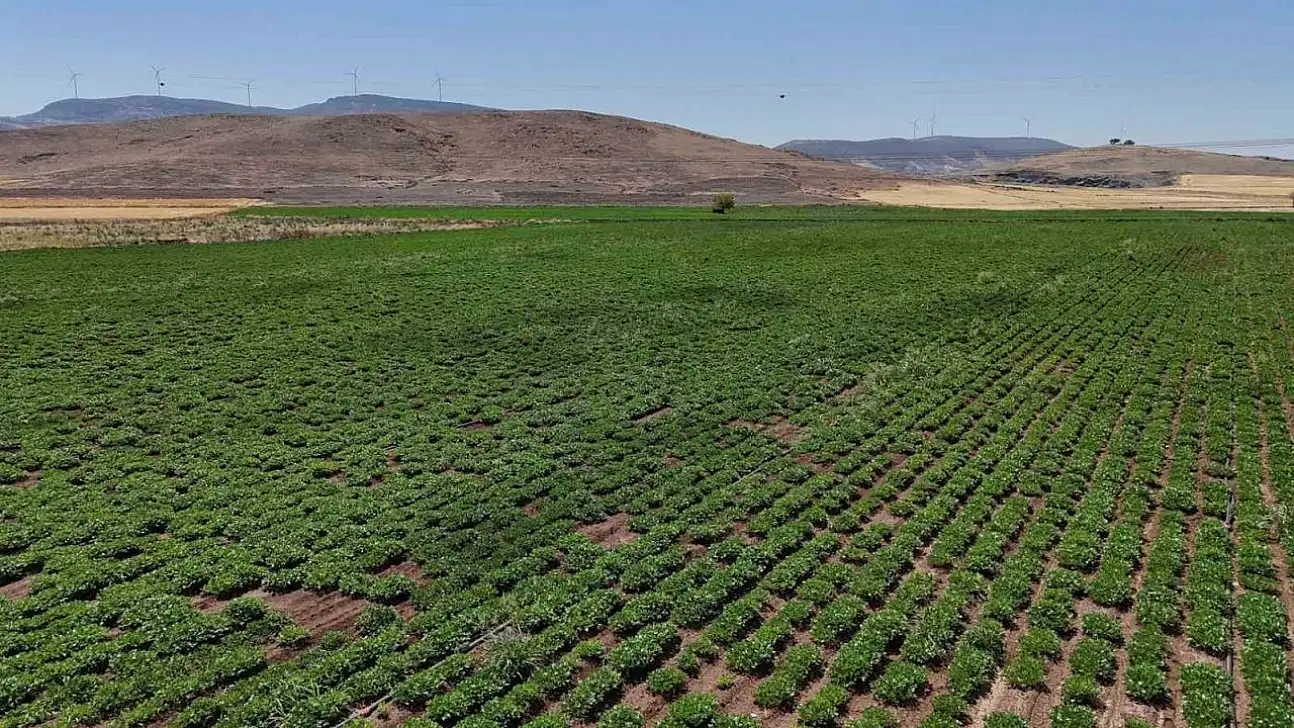 Büyükşehir, akıllı sulama sistemlerini Nurdağı ve İslahiye'de hayata geçirdi