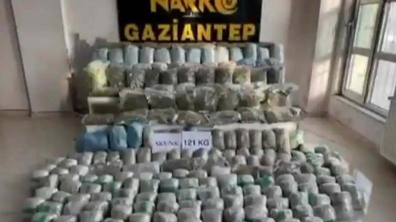 Gaziantep'te 121 kilo skunk ele geçirildi: 1 şahıs tutuklandı