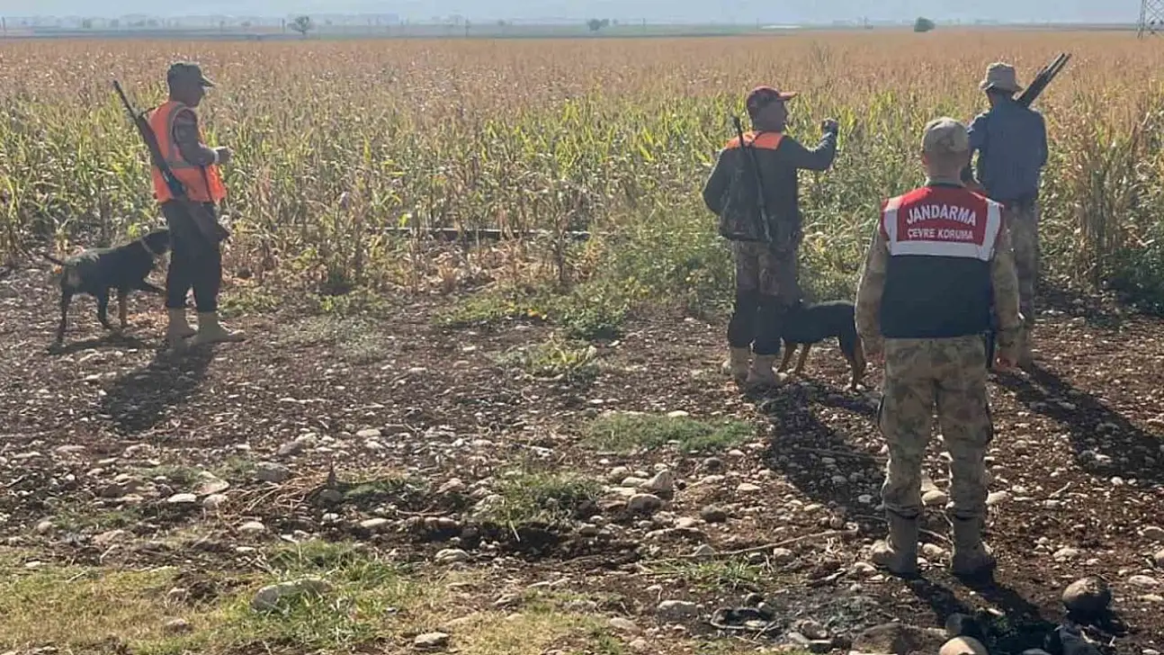 Gaziantep'te tarım arazilerine zarar veren yaban domuzları için sürek avı yapıldı