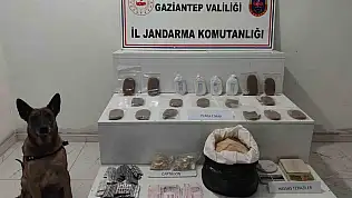 Jandarmanın uyuşturucu ve kaçakçılık operasyonlarında 10 şahıs tutuklandı