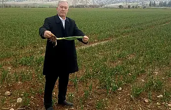 Altun, 'Yağışlar AB Tescilli Araban Sarımsağının kalite ve rekolteyi arttıracak'