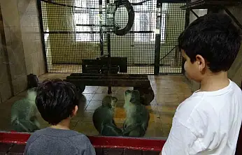 Ara tatile çıkan öğrenciler soluğu hayvanat bahçesinde aldı