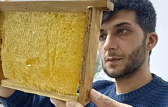 Araban'da üretilen bala yoğun talep